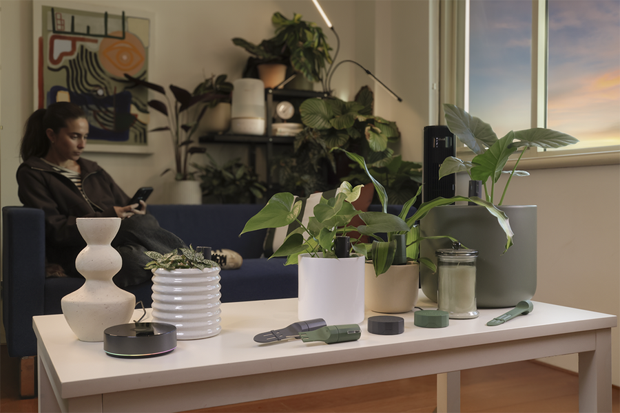 Willow x Homey: Automatisierte Pflanzenpflege