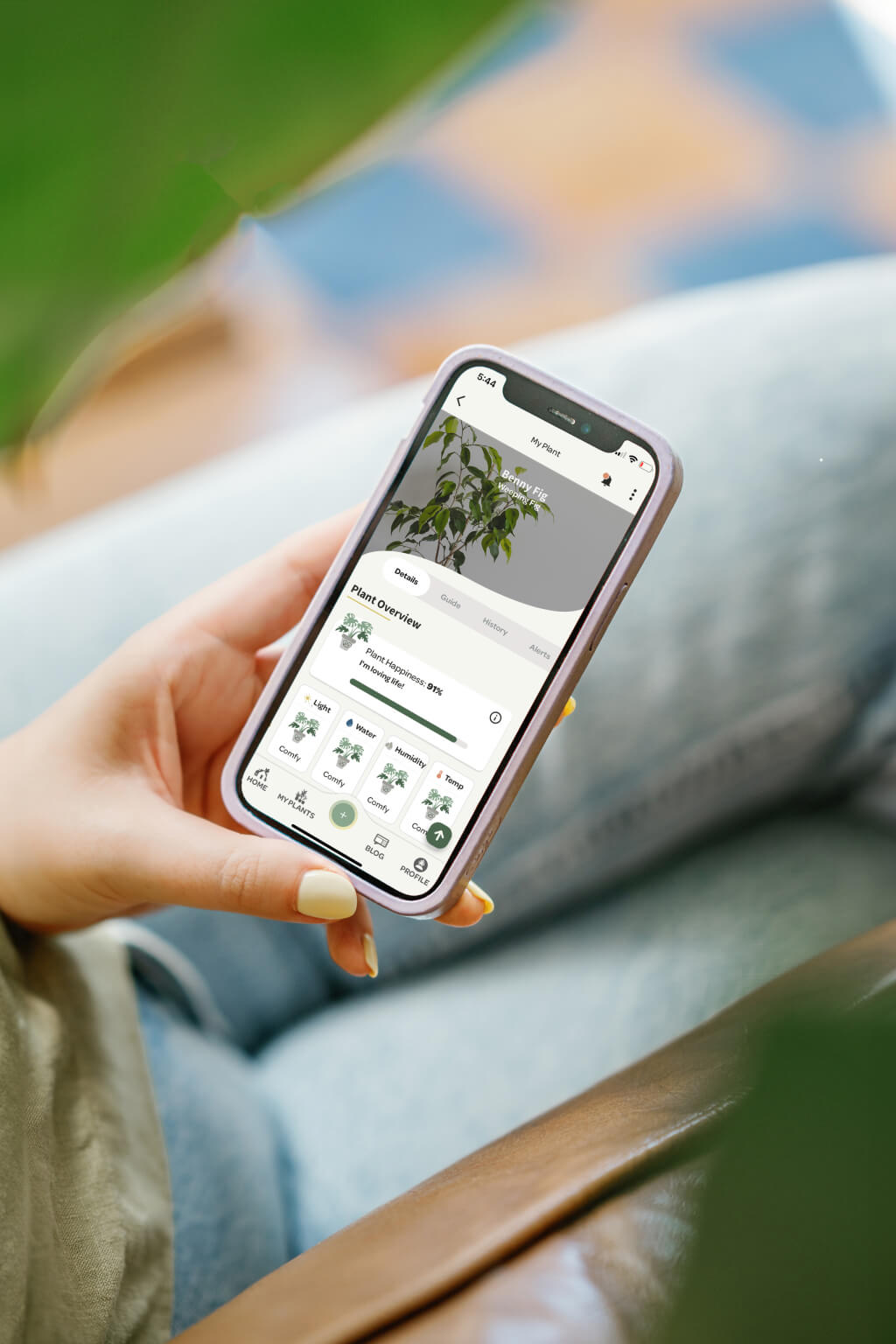 Willow App