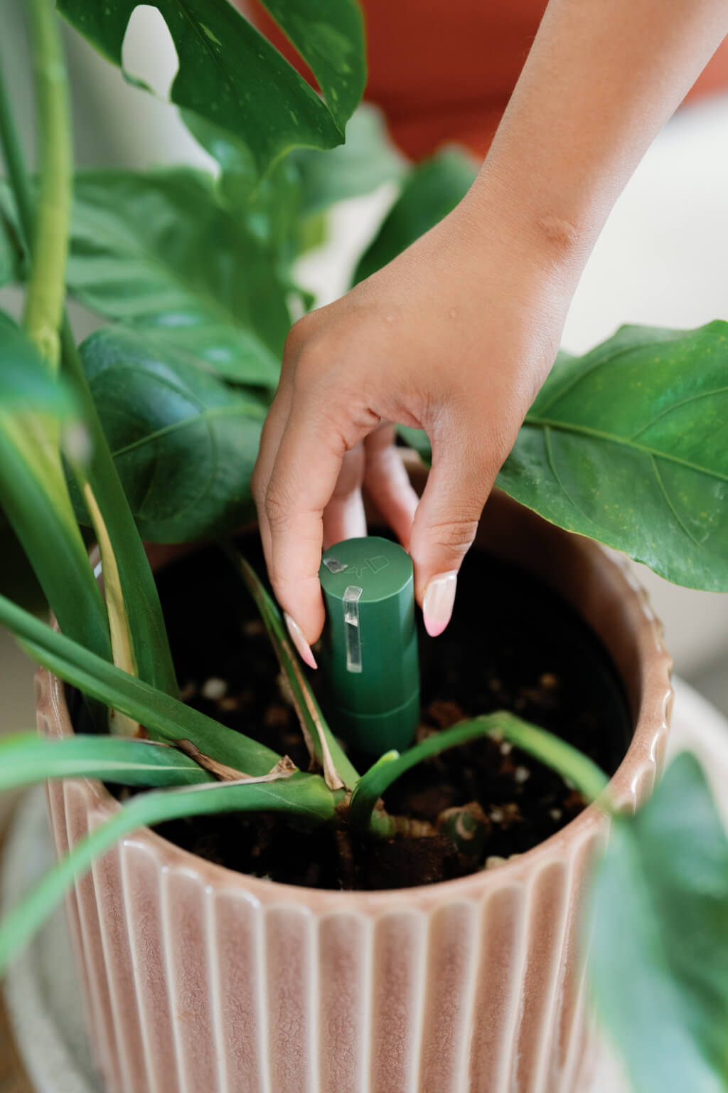 Willow Sensor